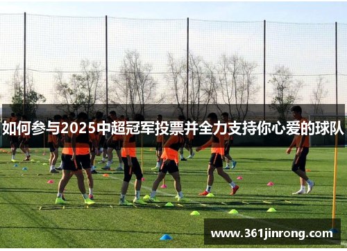 如何参与2025中超冠军投票并全力支持你心爱的球队